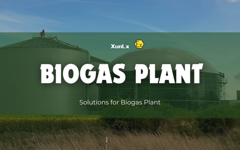 Solutions for Biogas Plant